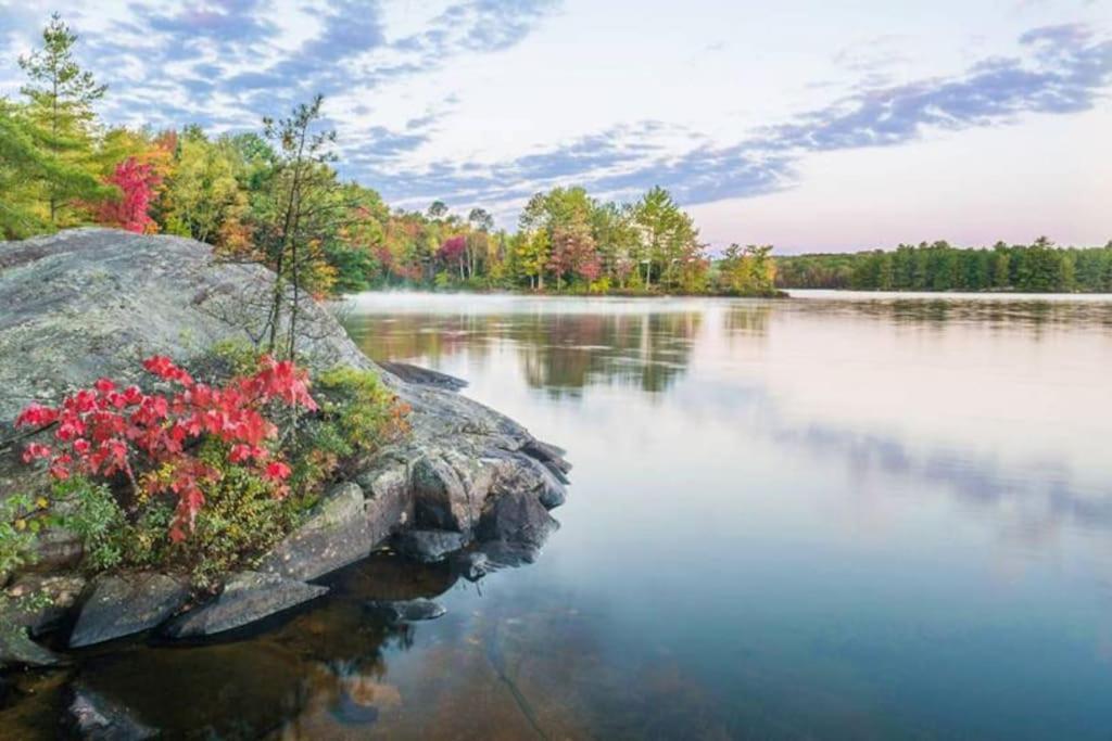 Private Cottage With Huge Private Dog Park! Barrys Bay Exterior photo