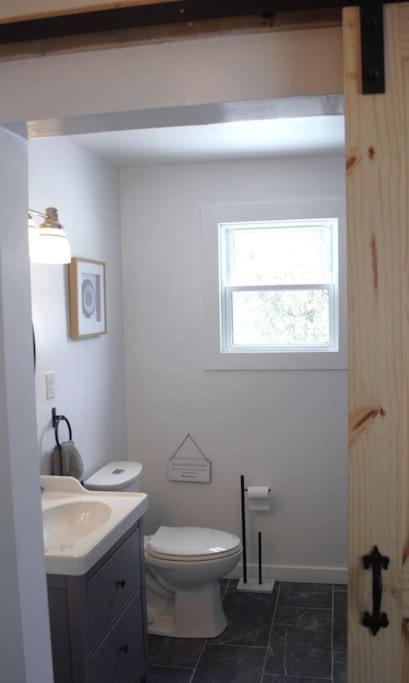 Private Cottage With Huge Private Dog Park! Barrys Bay Exterior photo