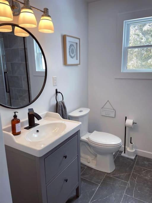 Private Cottage With Huge Private Dog Park! Barrys Bay Exterior photo